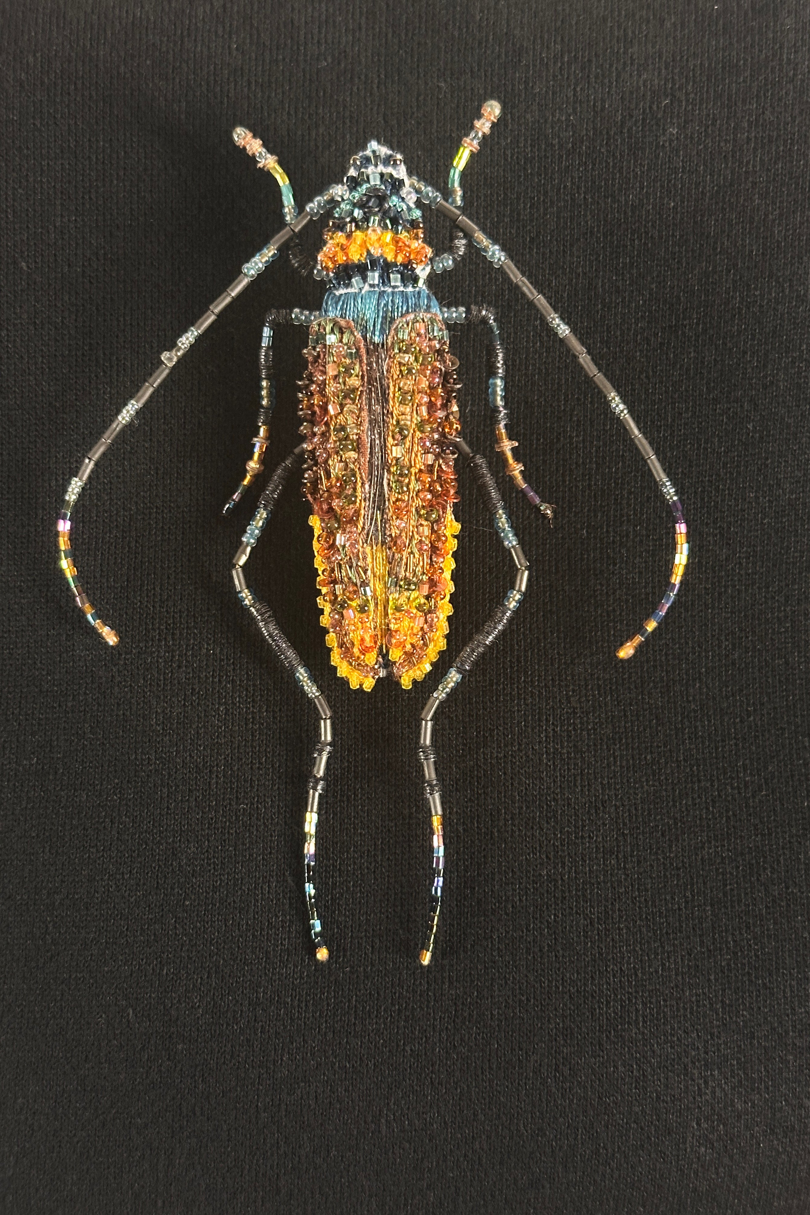 Trovelore Aphrodisium Beetle Brooch